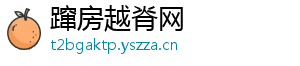 蹿房越脊网